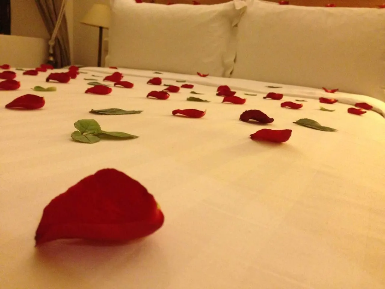 Riad Dar Anika Hotel Marraquexe